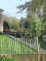 Wandeling 22-10-2017 (24)